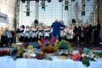 Zdjęcie DSC_0037.jpg