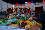 Zdjęcie DSC_0246.jpg