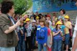 Zdjęcie DSC_2479.jpg