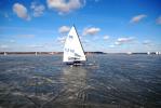 Zdjęcie DSC_9705.jpg