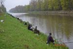 Zdjęcie dobre miasto2013 rok 408.jpg