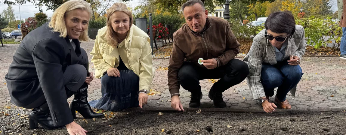 Akcja charytatywna Pola Nadziei w Nieporęcie, na zdjęciu pani wójt Agnieszka Powała i urzędnicy gminni sadzą żonkile