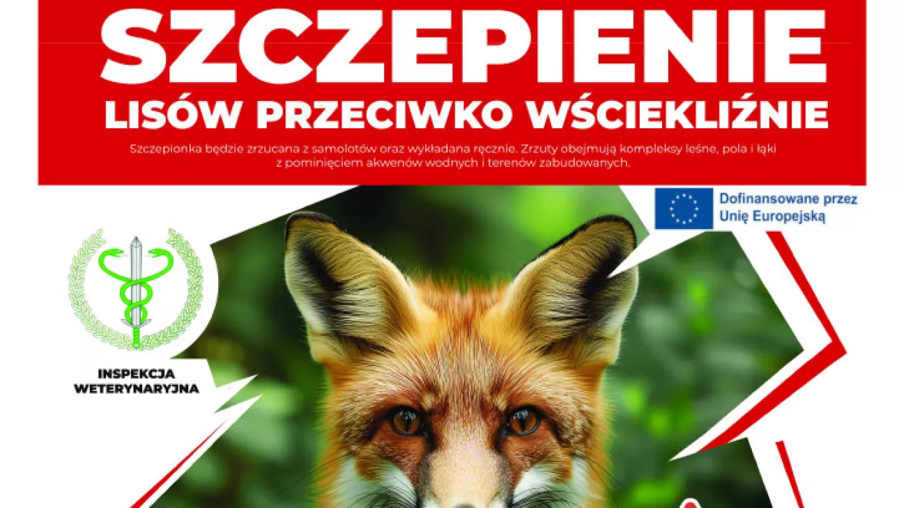 Plakat wścieklizna