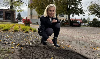 Akcja charytatywna Pola Nadziei w Nieporęcie, na zdjęciu pani wójt Agnieszka Powała sadzi żonkile na Placu Wolności