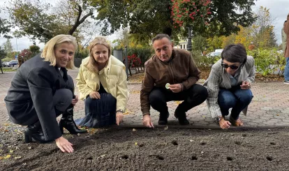 Akcja charytatywna Pola Nadziei w Nieporęcie, na zdjęciu pani wójt Agnieszka Powała i urzędnicy gminni sadzą żonkile