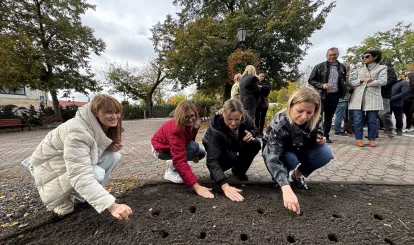 Akcja charytatywna Pola Nadziei w Nieporęcie, na zdjęciu urzędnicy gminni sadzą żonkile