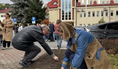Akcja charytatywna Pola Nadziei w Nieporęcie, na zdjęciu urzędnicy gminni sadzą żonkile